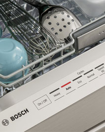 New Product Debut Image