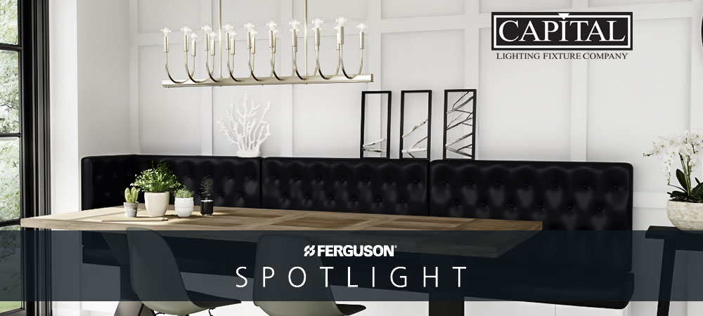 Capital Lighting Zander Collection