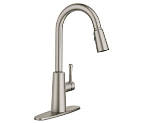 Moen Riley™