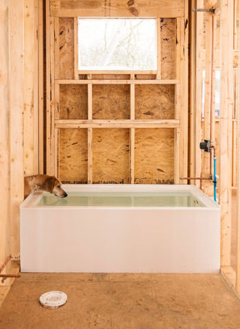 Maddie and a bathtub photo