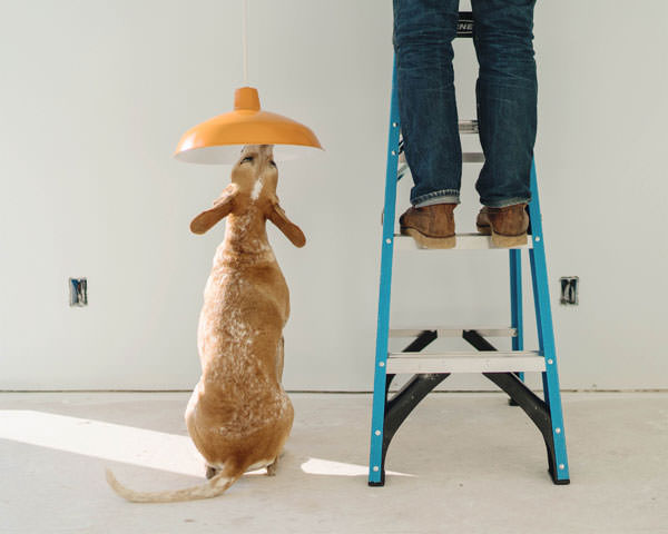 Maddie with a lamp photo