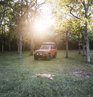 Maddie in a field by a red car photo