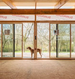 Maddie outside sliding doors photo