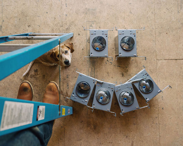 Maddie under the ladder photo